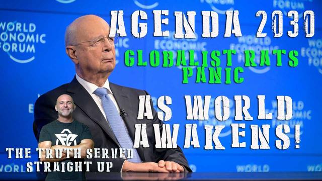 AGENDA 2030 GLOBALIST RATS PANIC AS WORLD AWAKENS! WITH LEE DAWSON 26-1-2023