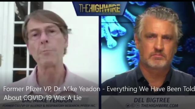 FORMER PFIZER VP, DR. MIKE YEADON - EVERYTHING WE HAVE BEEN TOLD ABOUT COVID-19 WAS A LIE 5-1-2023