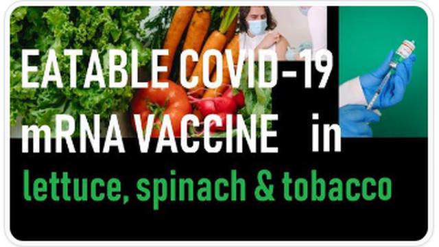 IF THEY CAN'T STARVE US OUT - LOOKS LIKE THEY WILL BE FEEDING US VACCINES - MRNA IN FOOD WE EAT !! 16-1-2023