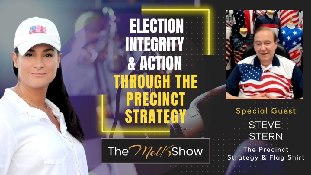 Mel K & Steve Stern | Election Integrity & Action Through the Precinct Strategy | 30-1-23
