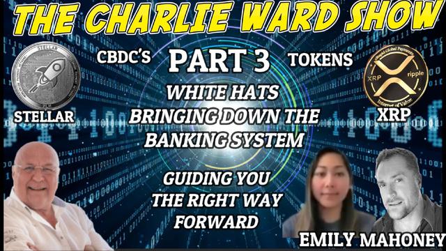 PART 3 - THE WHITE HATS BRINGING DOWN THE BANKING SYSTEM WITH EMILY, MAHONEY & CHARLIE WARD 13-1-2023