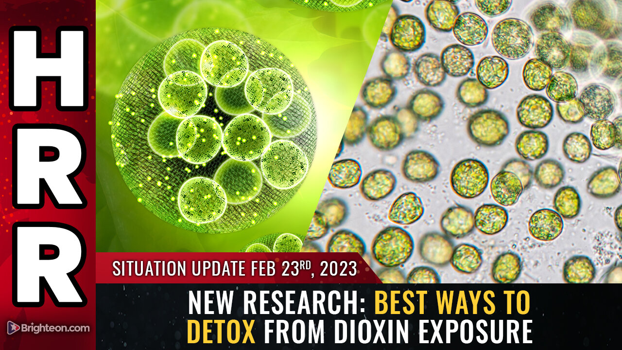 Situation Update, Feb 23, 2023 - New research: Best ways to DETOX from DIOXIN exposure 23-2-2023