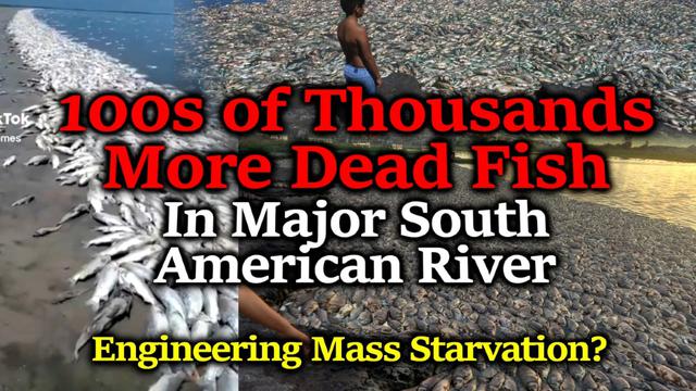 Worldwide Engineered Genocide - Colossal Sth America Fish Kill - 100s of Thousands More DEAD FISH 18-2-2023