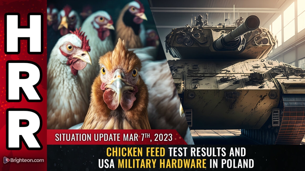 Situation Update, March 7, 2023 - Chicken feed test results and USA military hardware in Poland 7-3-2023