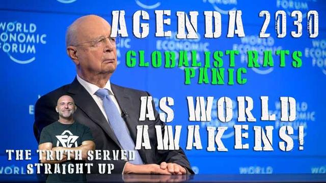 AGENDA 2030 GLOBALIST RATS PANIC AS THE WORLD AWAKENS! WITH LEE DAWSON 26-5-2023