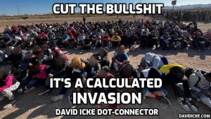 Cut The Bullshit - It's A Calculated Invasion - David Icke Dot-Connector Videocast 11-5-2023