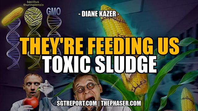 THEY'RE FEEDING US TOXIC SLUDGE -- Diane Kazer 23-6-2023