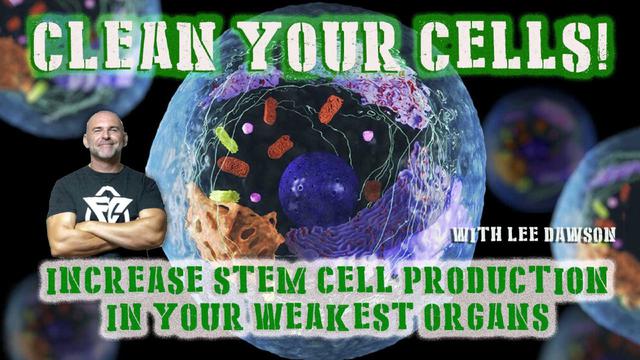 CLEAN YOUR CELLS, INCREASE STEM CELL PRODUCTION IN YOUR WEAKEST ORGANS WITH LEE DAWSON 4-8-2023