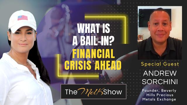 Mel K & Andrew Sorchini | What is a Bail-In? - Financial Crisis Ahead | 17-9-23
