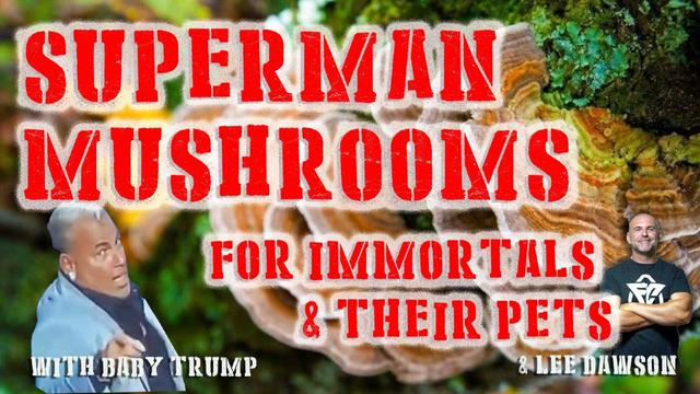 Superman Mushrooms. For Immortals & Their Pets. With Baby Trump & Lee Dawson 22-9-2023