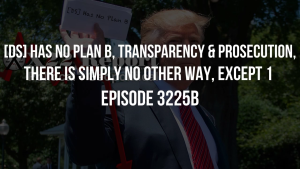 [DS] Has No Plan B, Transparency & Prosecution, There Is Simply No Other Way, Except 1 - Episode 3225b 1-12-2023