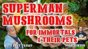 Superman Mushrooms. For Immortals & Their Pets. With Baby Trump & Lee Dawson 31-10-2023