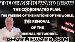 THE COORDINATED PLAN WITH SGANON & CHARLIE WARD 29-1-24