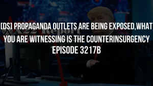 [DS] Propaganda Outlets Are Being Exposed,What You Are Witnessing Is The Counterinsurgency - Episode 3217b 21-11-2023