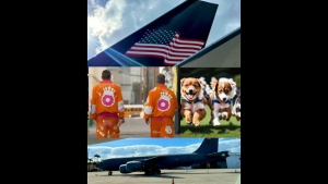 2/12/2024 - Trump & Dog Comms confirmed! Stratotanker! Commercials with Doubles and Orange Onesies! 12-2-24