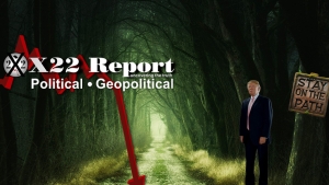 Is The 25th Amendment In Play? [DS] Following The Patriot's Path, Safeguards In Place 3279b 9-2-24