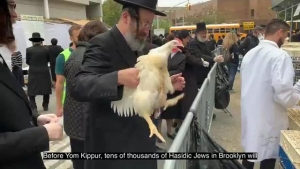 jewish Kaporos 9-2-23