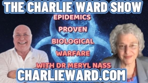 EPIDEMICS PROVEN BIOLOGICAL WARFARE WITH DR MERYL NASS 9-3-24