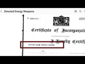 P5 Concerns - Directed Energy Systems - (All Parts on Telegram garythetruthsetsusfree) 19-5-24