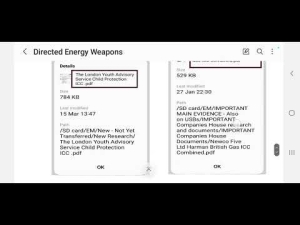 P6 - Concerns - Directed Energy Systems (all parts on Telegram Channel garythetruthsetsusfree) 19-5-24