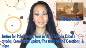 Justice for Palestinians, fires in US & Canada Kabal’s attacks, Crowdstrike update, The truth behind 29-7-24