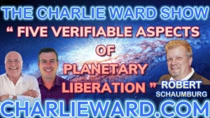 “FIVE VERIFIABLE ASPECTS OF PLANETARY LIBERATION” WITH ROBERT SCHAUMBURG & PAUL BROOKER 15-8-24