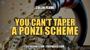 YOU CAN'T TAPER A PONZI SCHEME -- Collin Plume 26-8-24