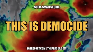 THIS IS DEMOCIDE -- Sofia Smallstorm 8-10-24