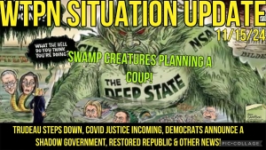 WTPN SIT/UP 11/15/24 DEMOCRAT COUP & SHADOW GOV., TRUDEAU STEPS DOWN, VT INTEL